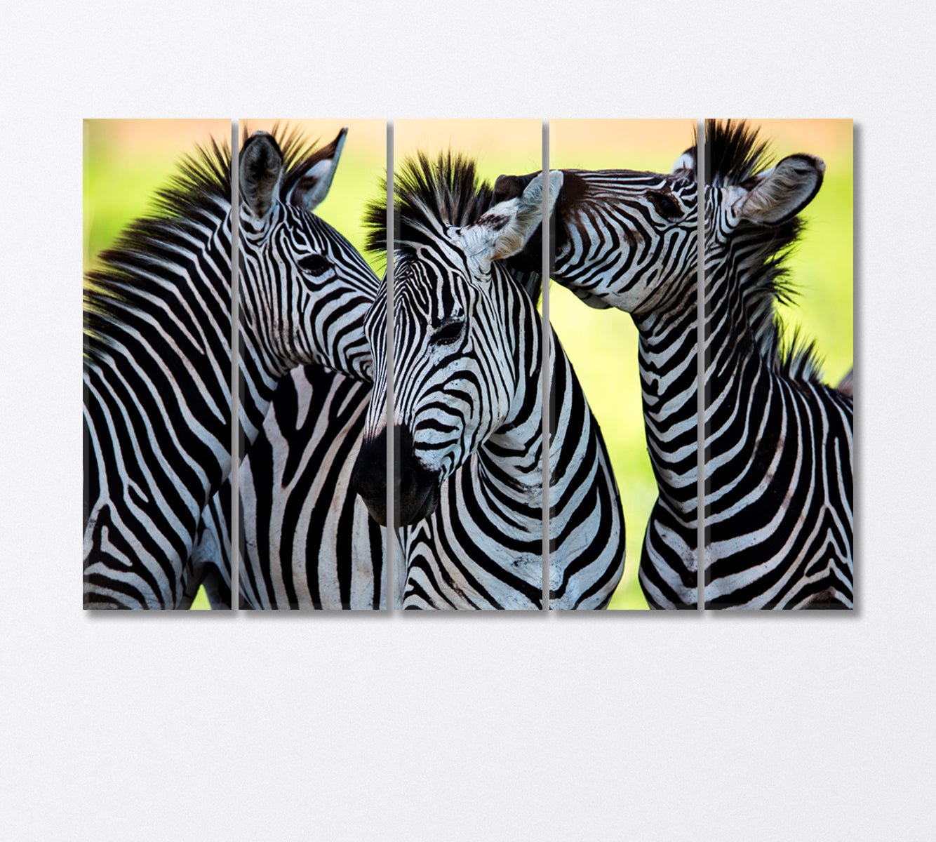 Wild Zebras of Africa Canvas Print-Canvas Print-CetArt-5 Panels-36x24 inches-CetArt