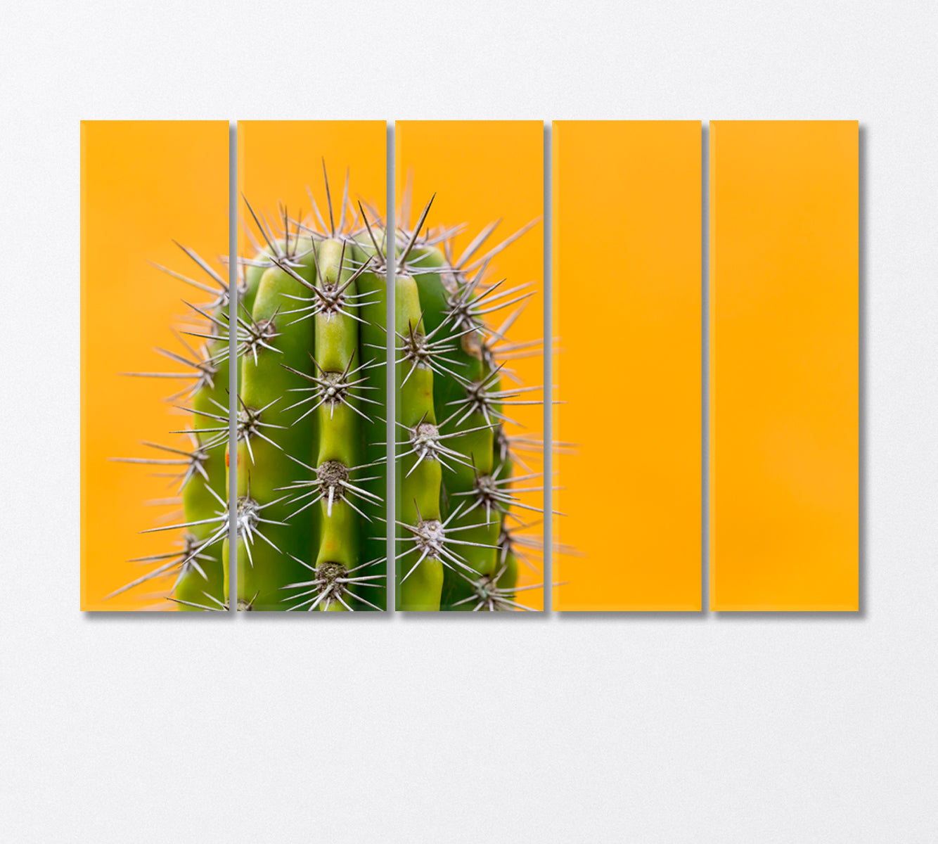 Cactus With Sharp Thorns Canvas Print-Canvas Print-CetArt-5 Panels-36x24 inches-CetArt