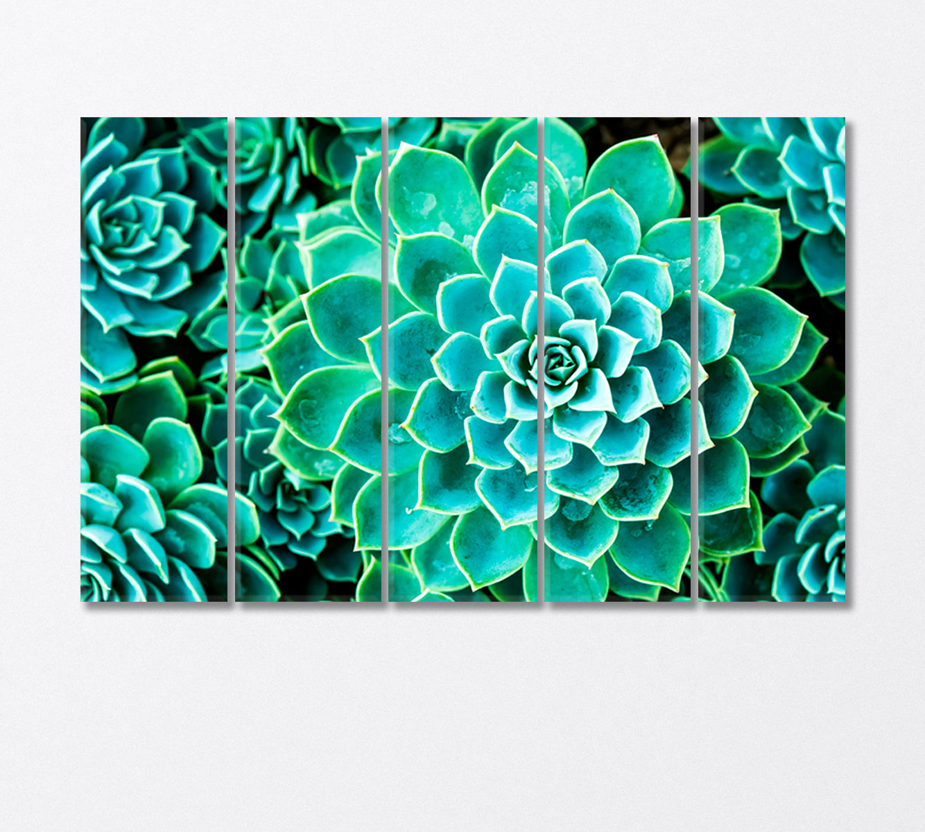 Magic Cactus in Botanic Garden Thailand Canvas Print-Canvas Print-CetArt-5 Panels-36x24 inches-CetArt