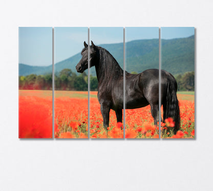 Black Arabian Horse in Poppy Field Canvas Print-Canvas Print-CetArt-5 Panels-36x24 inches-CetArt