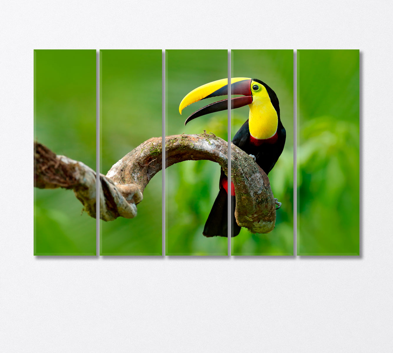 Toucan Bird Sitting on Branch Canvas Print-Canvas Print-CetArt-5 Panels-36x24 inches-CetArt