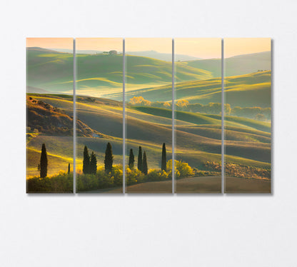 Spring Hills Tuscany Italy Canvas Print-Canvas Print-CetArt-5 Panels-36x24 inches-CetArt