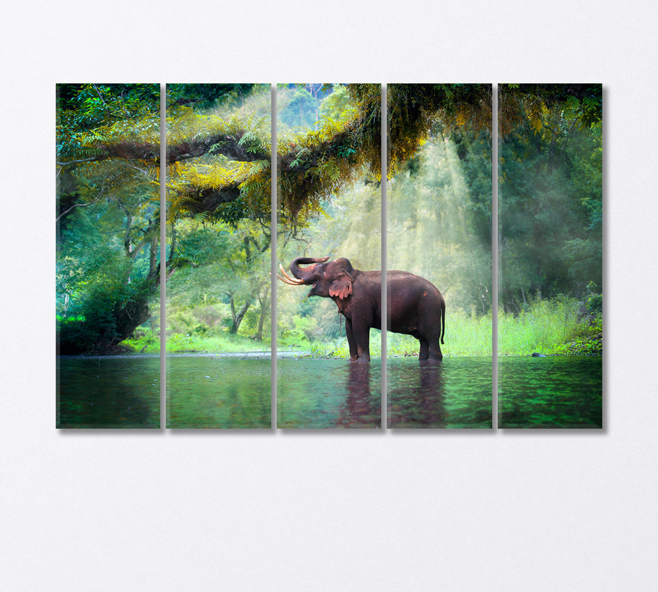 Wild Elephant in the Fairy Forest Thailand Canvas Print-Canvas Print-CetArt-5 Panels-36x24 inches-CetArt