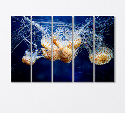 The Incredible Beauty of Jellyfish Canvas Print-Canvas Print-CetArt-5 Panels-36x24 inches-CetArt