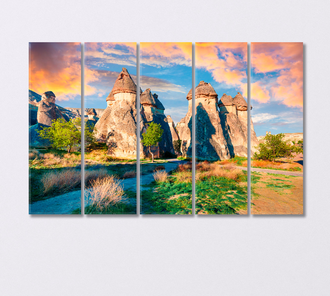 Valley of Magic Mushrooms Chavushin Cappadocia Canvas Print-Canvas Print-CetArt-5 Panels-36x24 inches-CetArt