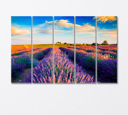 Lavender Field and Provence Hills Canvas Print-Canvas Print-CetArt-5 Panels-36x24 inches-CetArt