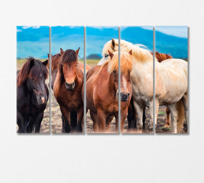 Herd of Wild Horses Canvas Print-Canvas Print-CetArt-5 Panels-36x24 inches-CetArt