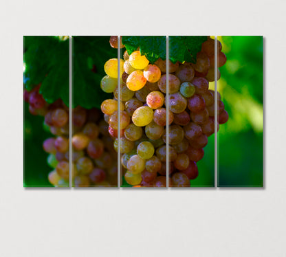 Morning Dew with Sunbeams on Bunches Grapes Canvas Print-Canvas Print-CetArt-5 Panels-36x24 inches-CetArt