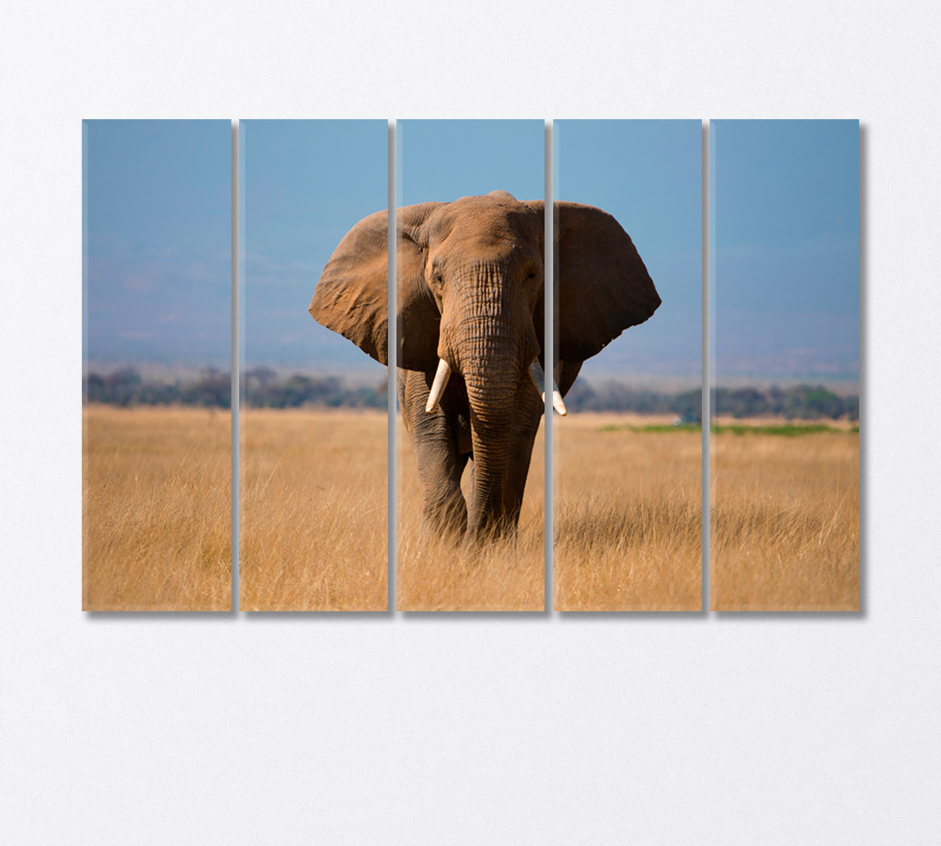 African Elephant in Amboseli Park Kenya Canvas Print-Canvas Print-CetArt-5 Panels-36x24 inches-CetArt