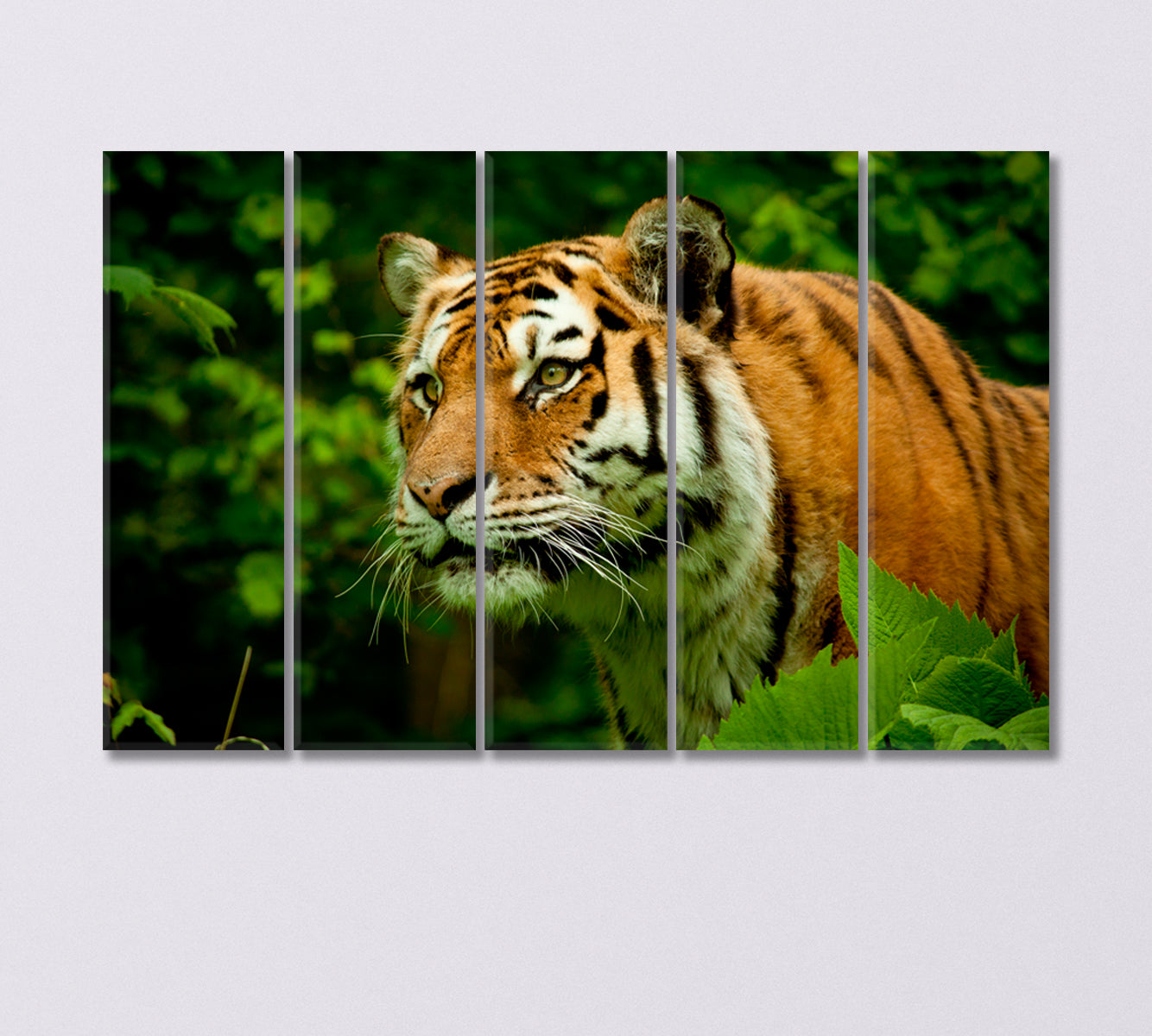 Tiger Face Wildlife Canvas Print-Canvas Print-CetArt-5 Panels-36x24 inches-CetArt