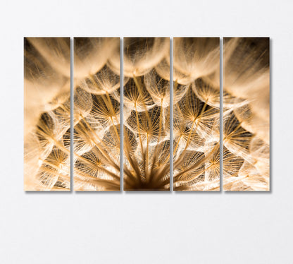 Dandelion Close Up Canvas Print-Canvas Print-CetArt-5 Panels-36x24 inches-CetArt