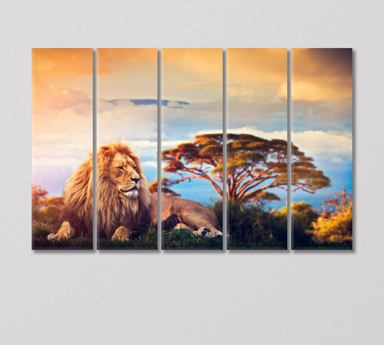 Lion Lying on Grass in Savannah Africa Canvas Print-Canvas Print-CetArt-5 Panels-36x24 inches-CetArt