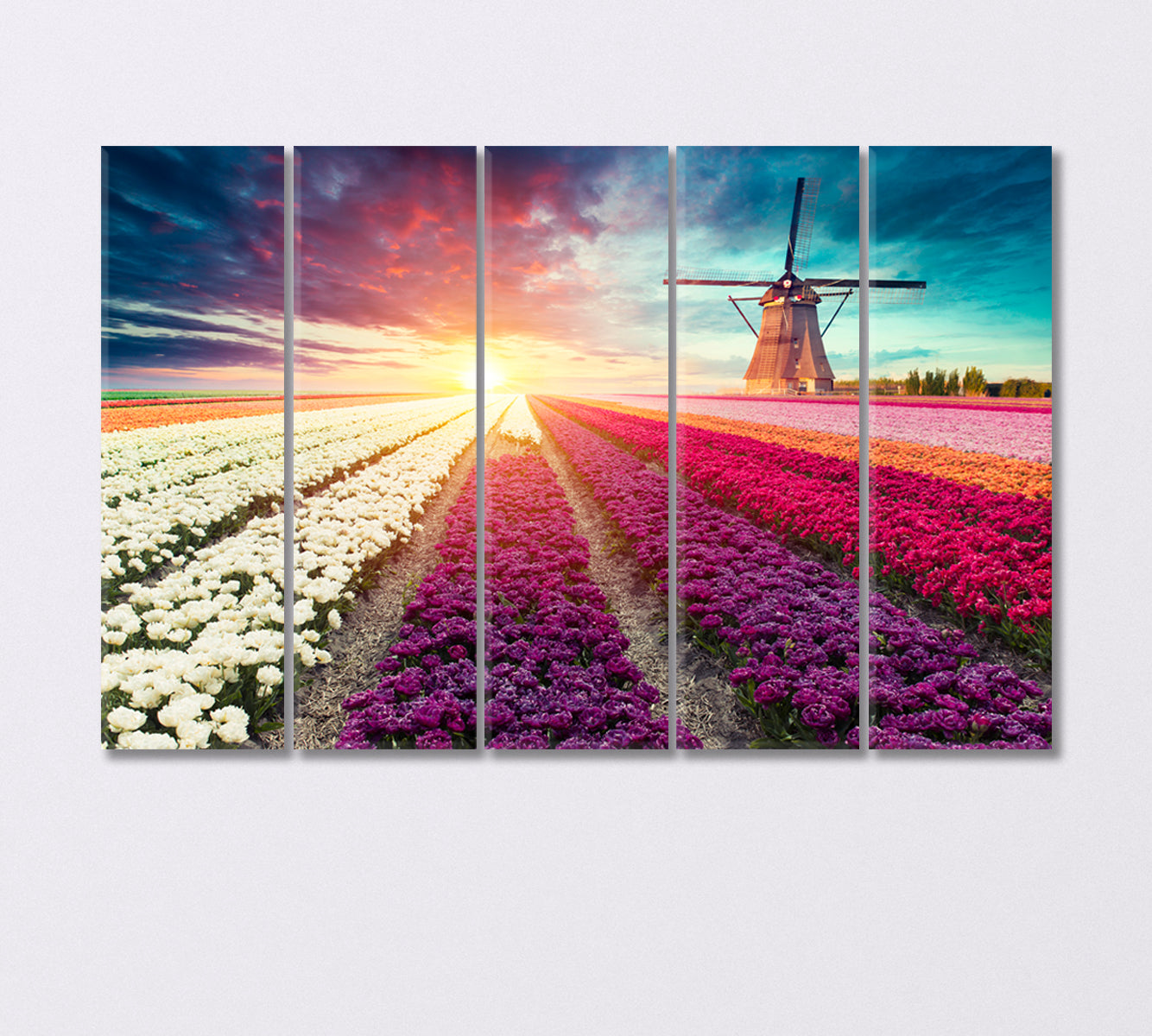 Tulip Field with Windmill Netherlands Canvas Print-Canvas Print-CetArt-5 Panels-36x24 inches-CetArt