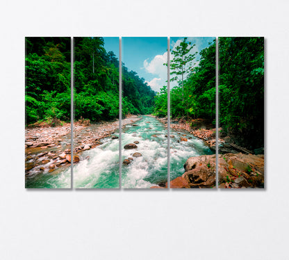 Magical Scenery of Rainforest and River with Rocks Canvas Print-Canvas Print-CetArt-5 Panels-36x24 inches-CetArt