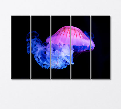 Purple Striped Jellyfish Canvas Print-Canvas Print-CetArt-5 Panels-36x24 inches-CetArt