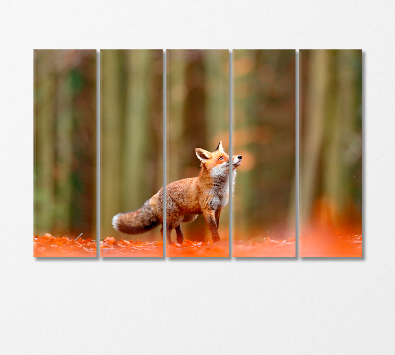 Red Fox Running in Orange Autumn Leaves Canvas Print-Canvas Print-CetArt-5 Panels-36x24 inches-CetArt