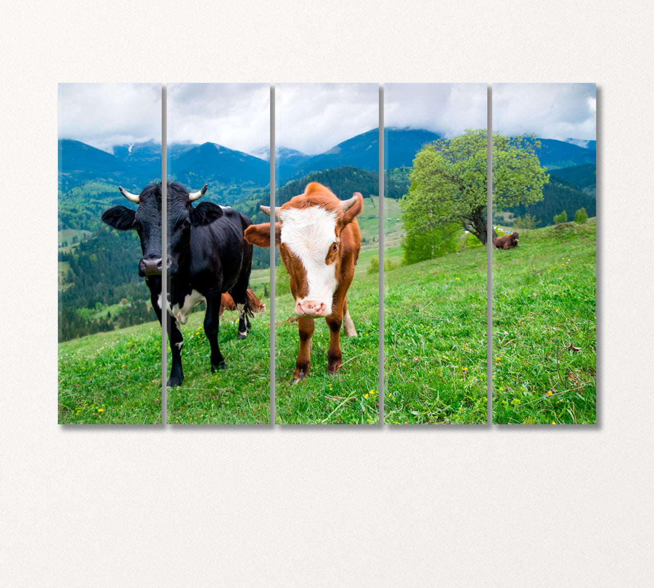Cows in Meadow Canvas Print-Canvas Print-CetArt-5 Panels-36x24 inches-CetArt