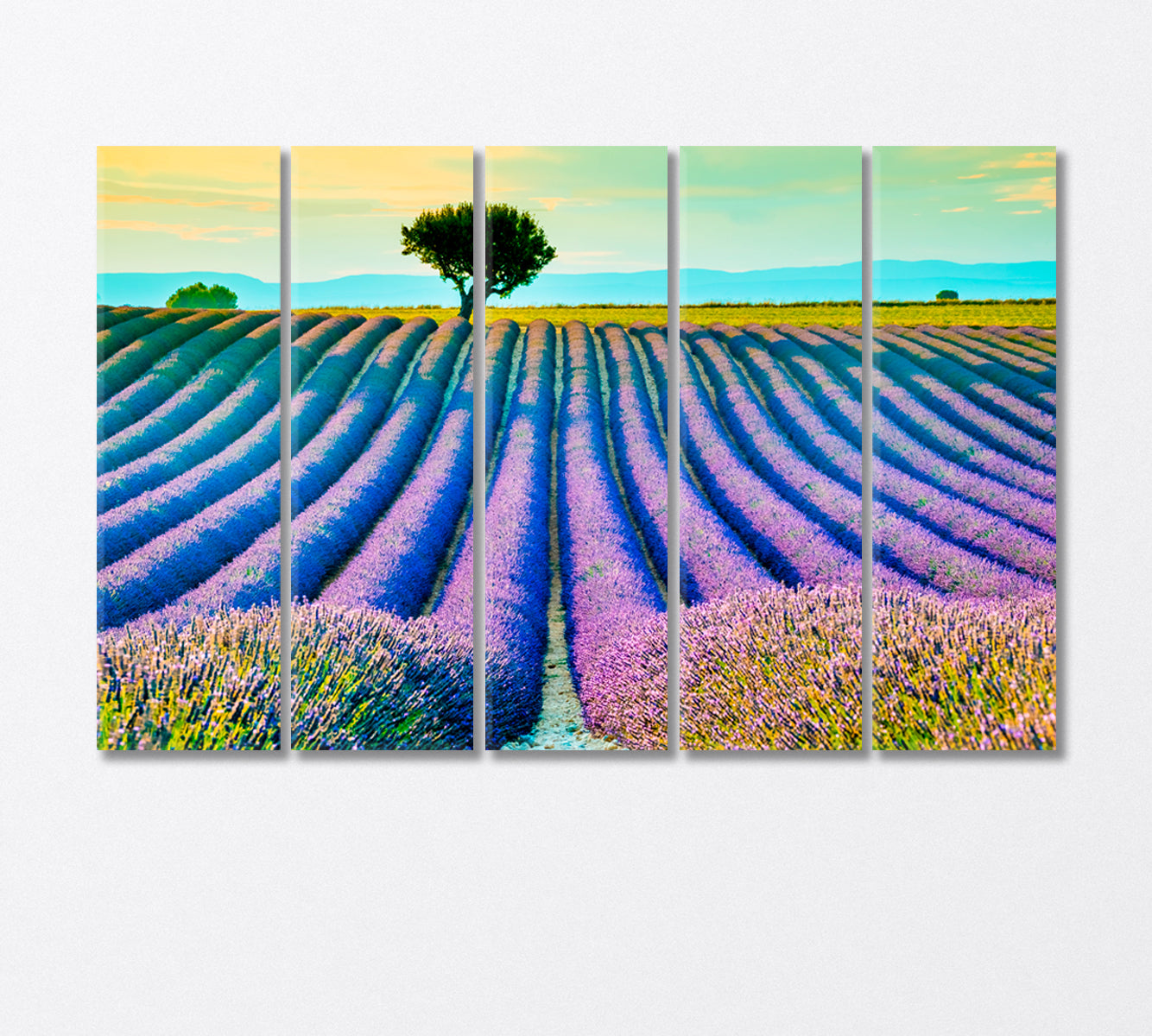 Beautiful Lavender Field at Sunset Provence France Canvas Print-Canvas Print-CetArt-5 Panels-36x24 inches-CetArt