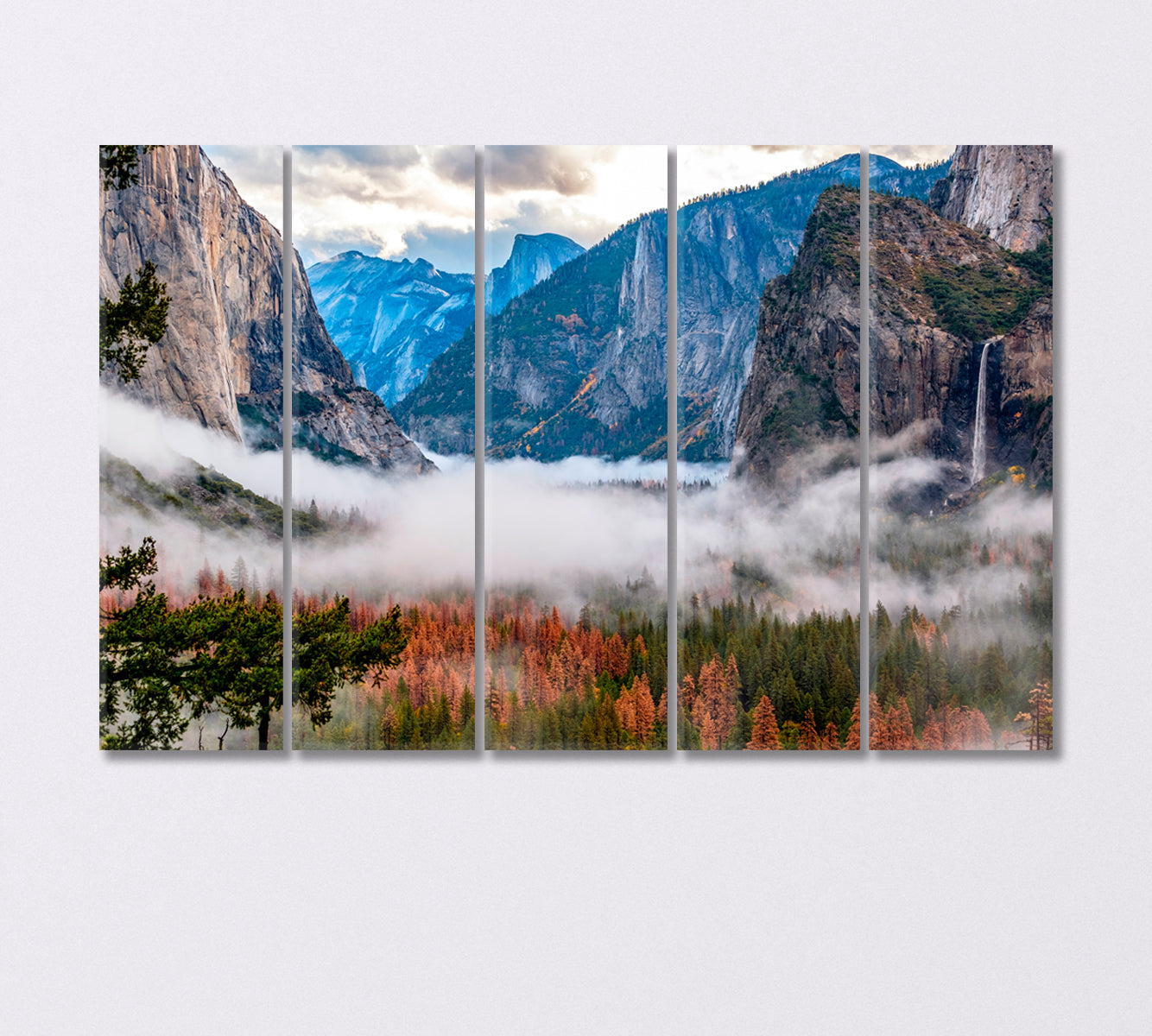 Valley of Yosemite National Park California USA Canvas Print-Canvas Print-CetArt-5 Panels-36x24 inches-CetArt