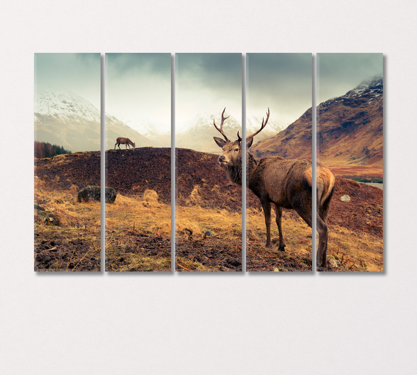 Scottish Mountain Landscape with Deer Canvas Print-Canvas Print-CetArt-5 Panels-36x24 inches-CetArt