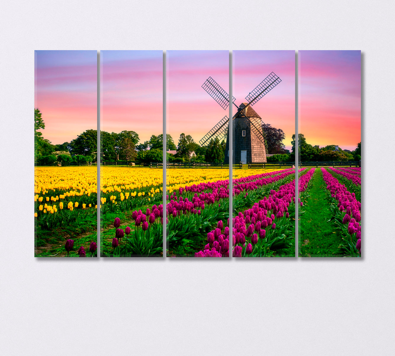 Windmill in Beautiful Color Tulips Field Canvas Print-Canvas Print-CetArt-5 Panels-36x24 inches-CetArt