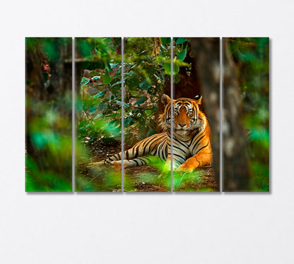 Male Indian Tiger Endangered Species Canvas Print-Canvas Print-CetArt-5 Panels-36x24 inches-CetArt