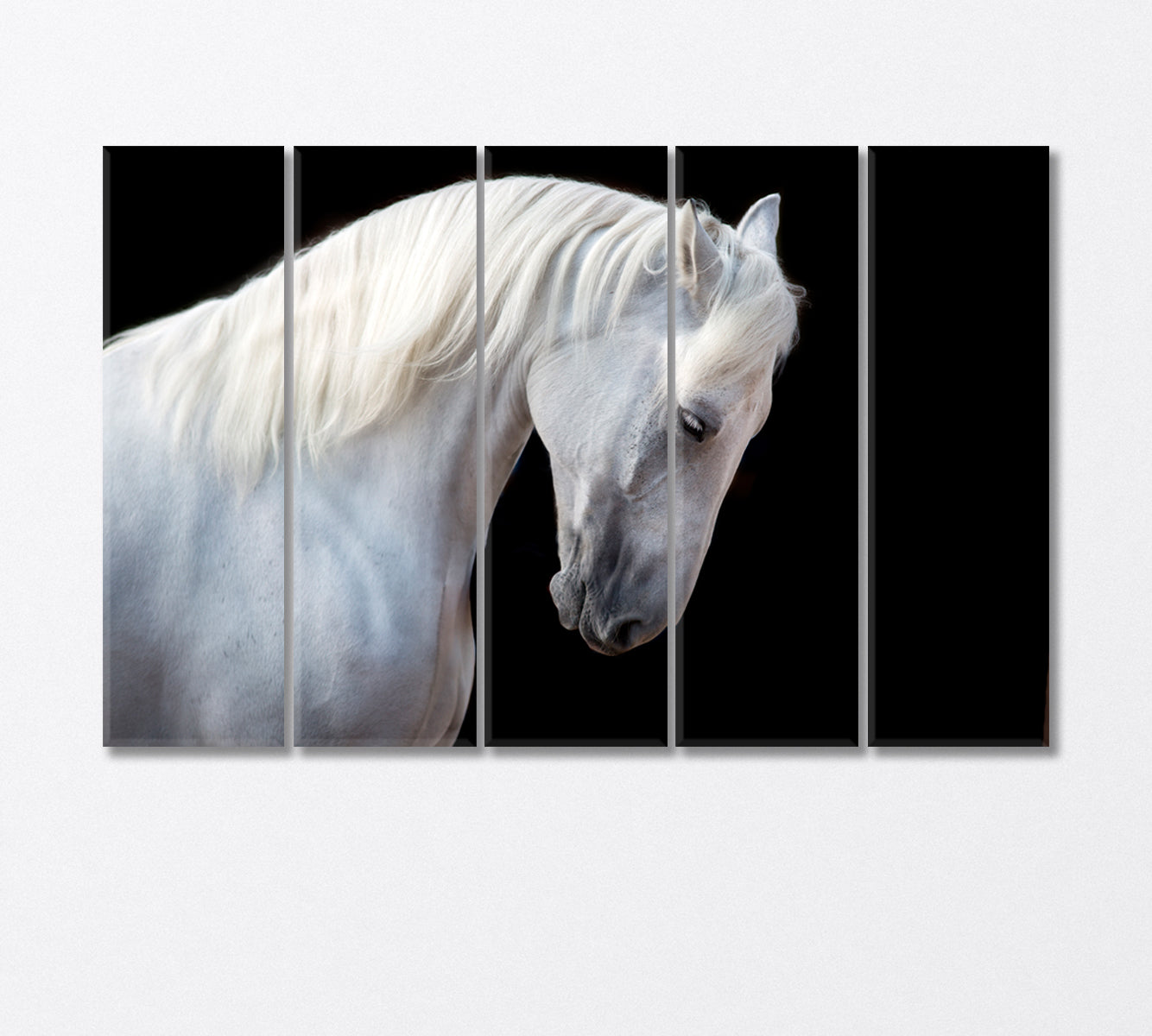 White Horse Portrait Canvas Print-Canvas Print-CetArt-5 Panels-36x24 inches-CetArt