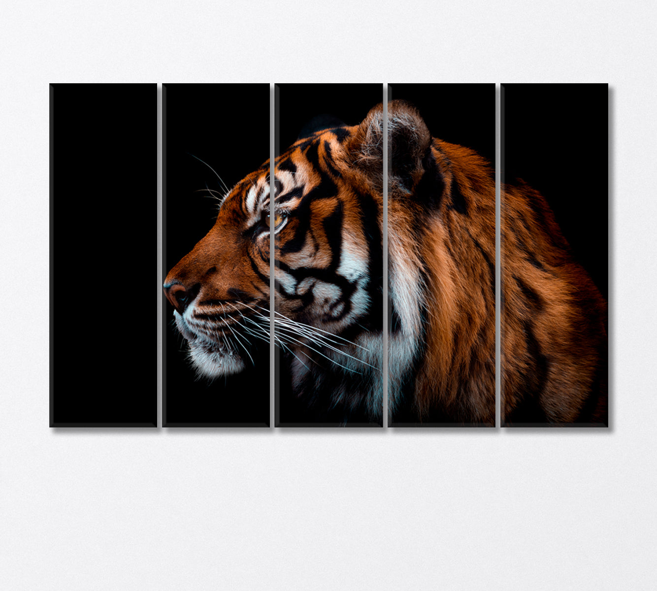 Sumatran Tiger Canvas Print-Canvas Print-CetArt-5 Panels-36x24 inches-CetArt