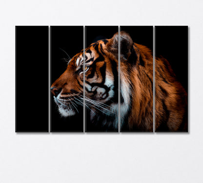 Sumatran Tiger Canvas Print-Canvas Print-CetArt-5 Panels-36x24 inches-CetArt