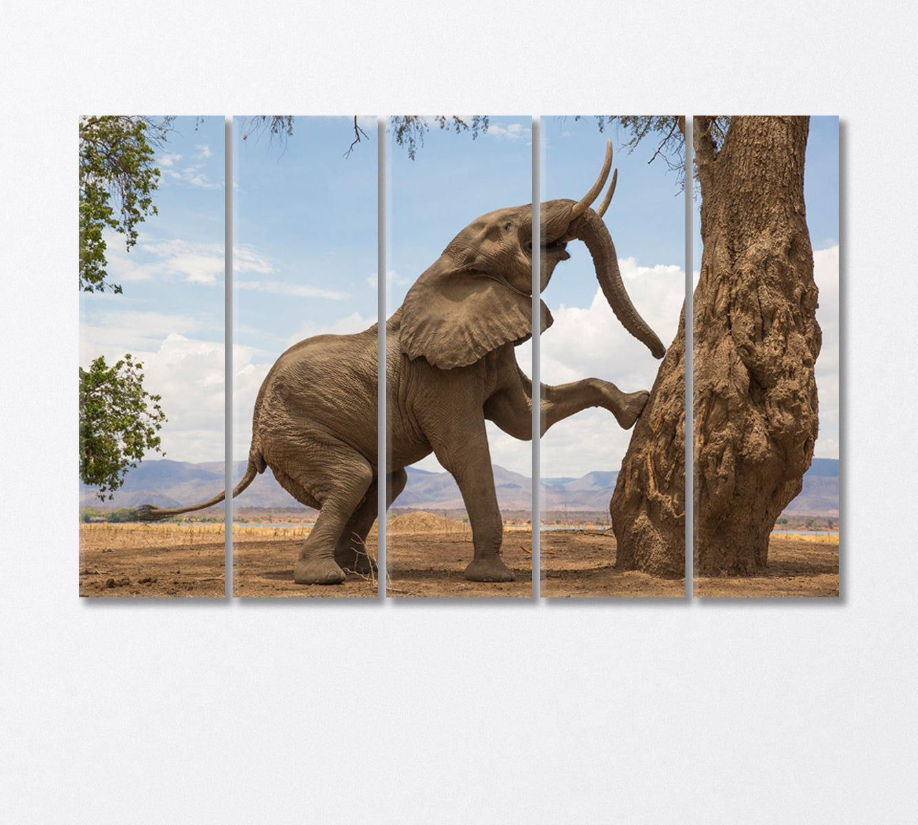 Powerful African Elephant Canvas Print-Canvas Print-CetArt-5 Panels-36x24 inches-CetArt