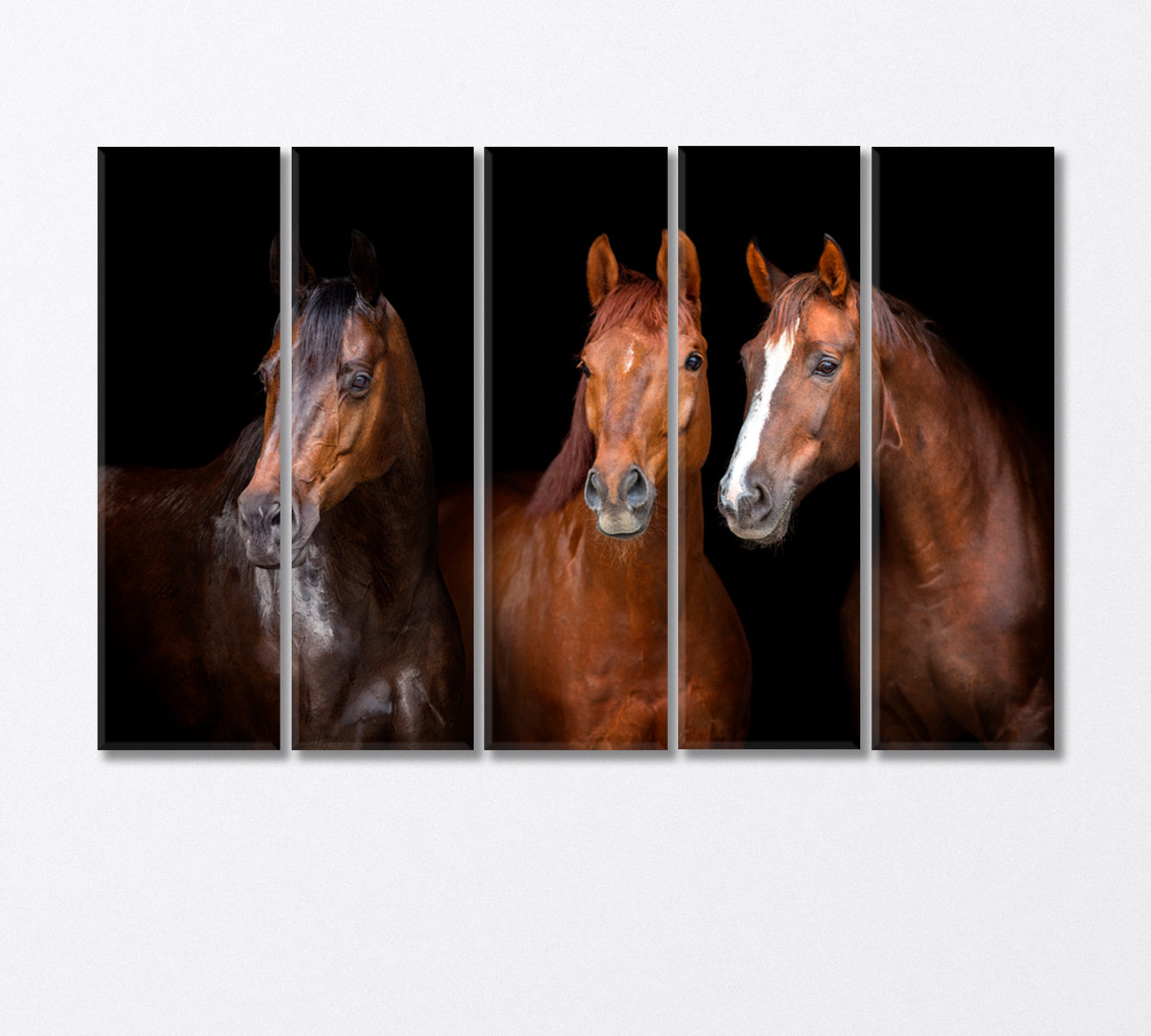 Portrait of Three Graceful Horses Canvas Print-Canvas Print-CetArt-5 Panels-36x24 inches-CetArt