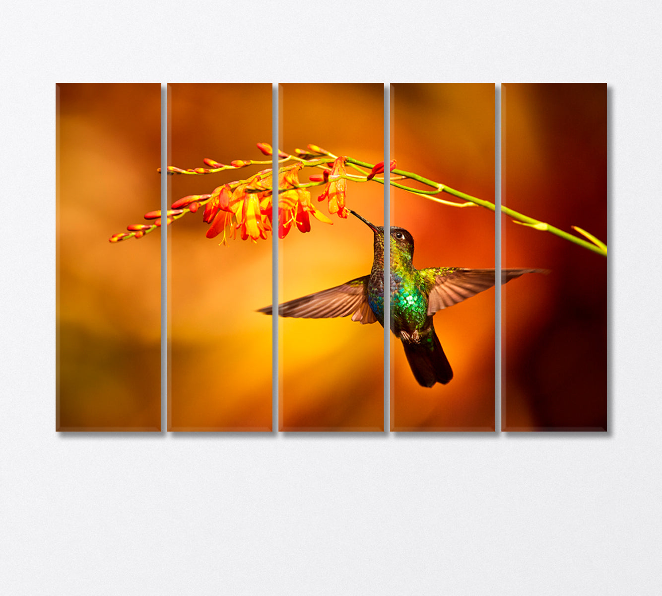 Hummingbird Collecting Nectar Canvas Print-Canvas Print-CetArt-5 Panels-36x24 inches-CetArt