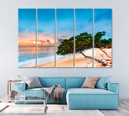 Exotic Seascape with Sea Grape Trees Dominican Republic Canvas Print-Canvas Print-CetArt-1 Panel-24x16 inches-CetArt