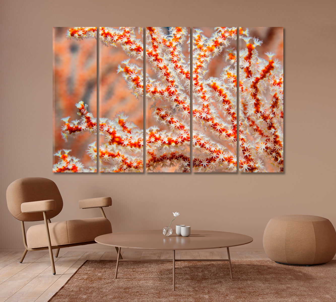 Sea Fan Coral Canvas Print-Canvas Print-CetArt-1 Panel-24x16 inches-CetArt