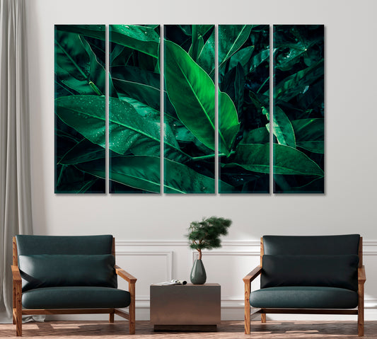 Large Tropical Leaf with Water Drops Canvas Print-Canvas Print-CetArt-1 Panel-24x16 inches-CetArt