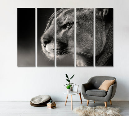 Cougar Face in Black White Canvas Print-Canvas Print-CetArt-1 Panel-24x16 inches-CetArt