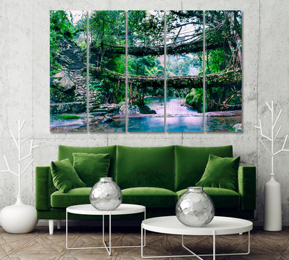 Living Root Bridge India Canvas Print-Canvas Print-CetArt-1 Panel-24x16 inches-CetArt