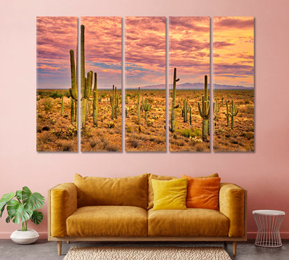 Sonoran Desert Mexico Canvas Print-Canvas Print-CetArt-1 Panel-24x16 inches-CetArt