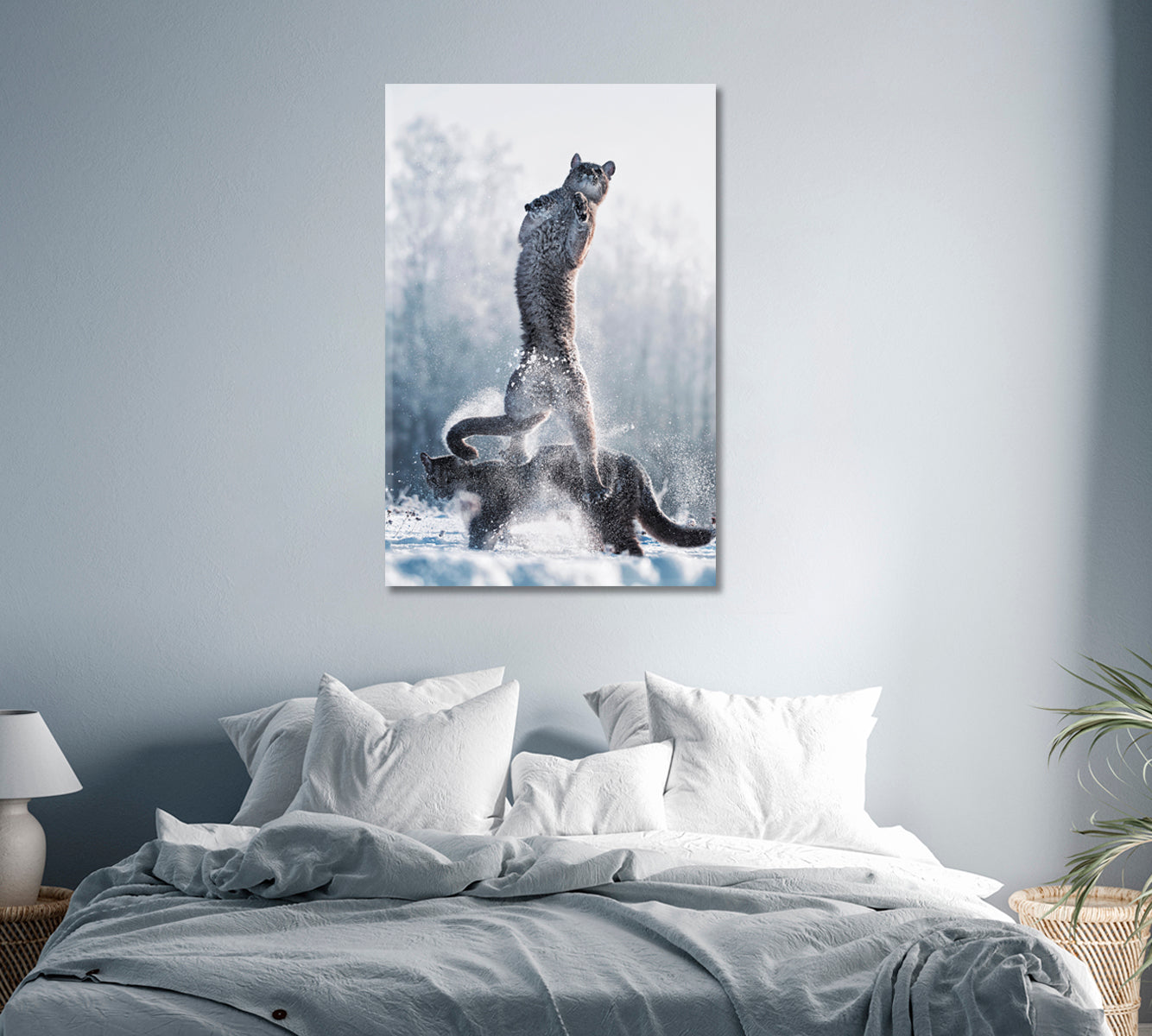 Cougars Play in Snow Canvas Print-Canvas Print-CetArt-1 panel-16x24 inches-CetArt