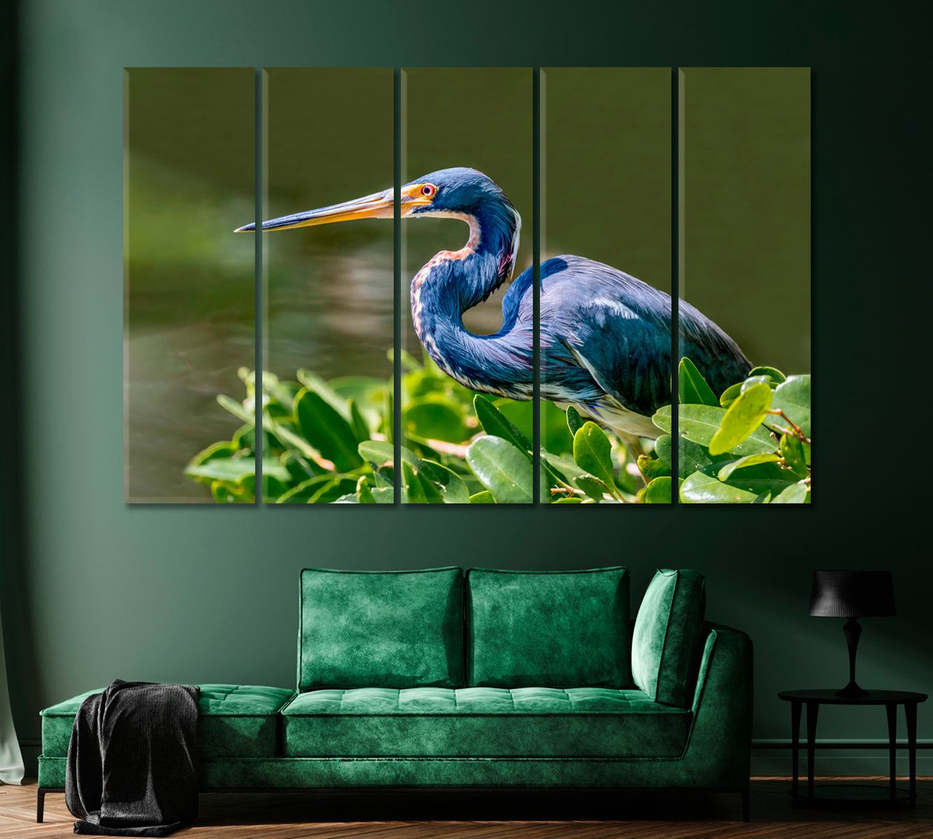 Tricolored Heron Canvas Print-Canvas Print-CetArt-1 Panel-24x16 inches-CetArt