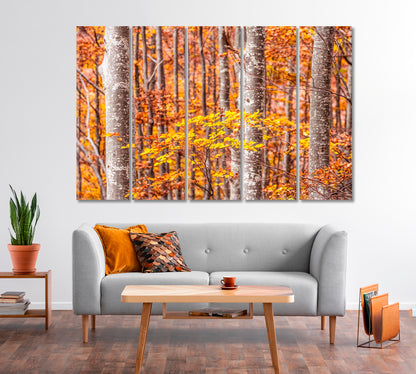 Autumn Beech Trees Forest Bologna Italy Canvas Print-Canvas Print-CetArt-1 Panel-24x16 inches-CetArt
