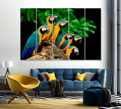 Blue and Yellow Parrots Canvas Print-Canvas Print-CetArt-1 Panel-24x16 inches-CetArt