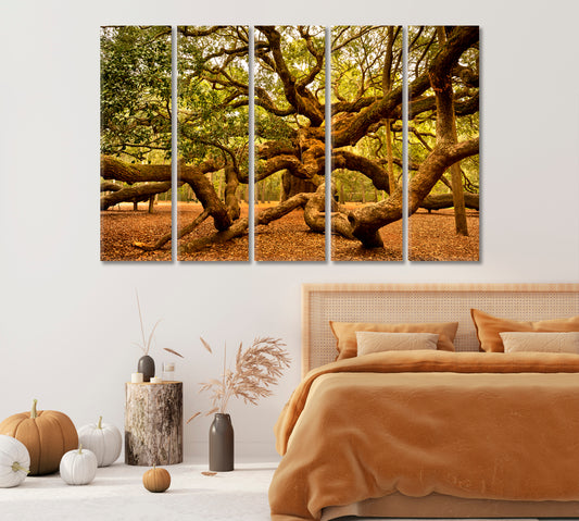 Angel Oak Tree Johns Island South Carolina USA Canvas Print-Canvas Print-CetArt-1 Panel-24x16 inches-CetArt