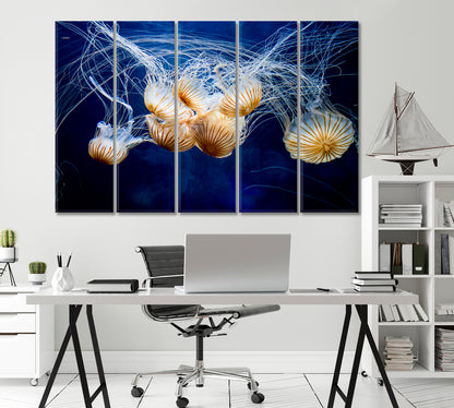The Incredible Beauty of Jellyfish Canvas Print-Canvas Print-CetArt-1 Panel-24x16 inches-CetArt