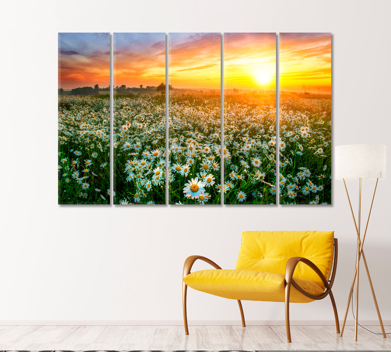 Beautiful Summer Sunrise over Daisies Field Canvas Print-Canvas Print-CetArt-1 Panel-24x16 inches-CetArt