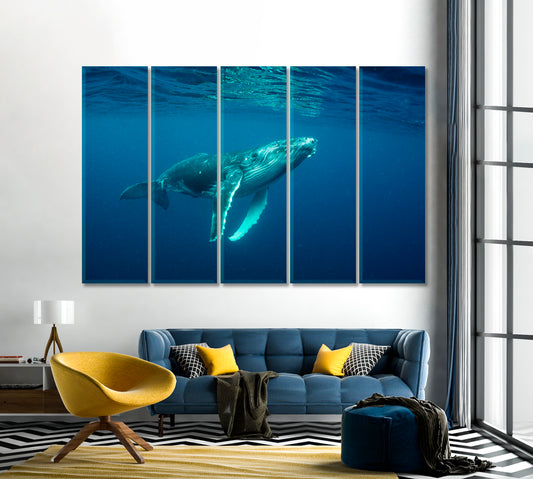 Humpback Whale Cub in the Pacific Ocean Canvas Print-Canvas Print-CetArt-1 Panel-24x16 inches-CetArt