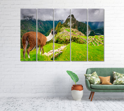 Machu Picchu Ruins of Inca Empire City Peru Canvas Print-Canvas Print-CetArt-1 Panel-24x16 inches-CetArt