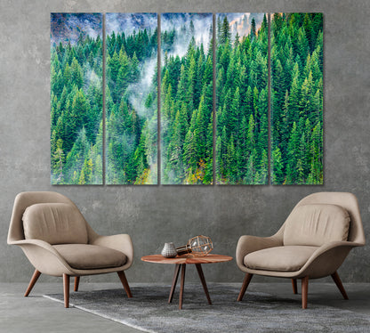 Pine Woods Covered by Fog Canvas Print-Canvas Print-CetArt-1 Panel-24x16 inches-CetArt