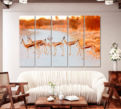 Springbok Herd in Etosha National Park Namibia Canvas Print-Canvas Print-CetArt-1 Panel-24x16 inches-CetArt