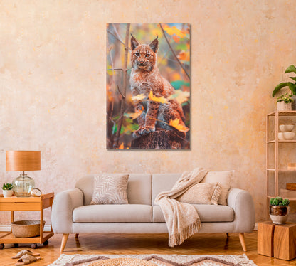 European Lynx Kitten Canvas Print-Canvas Print-CetArt-1 panel-16x24 inches-CetArt